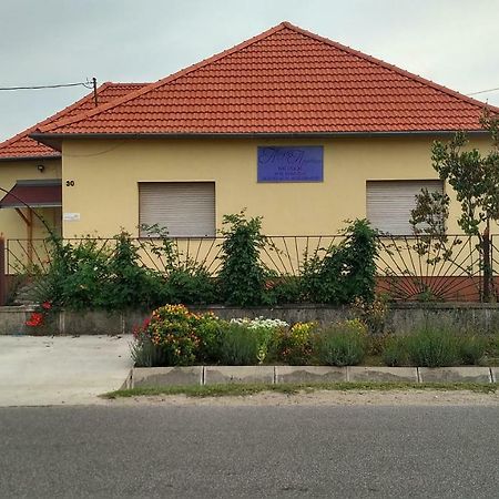 Abigel Apartman Mórahalom Dış mekan fotoğraf